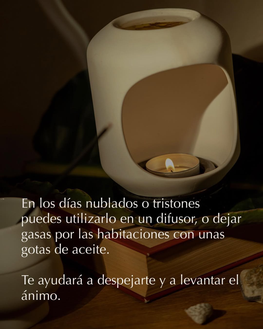 Los días grises también tienen su encanto🤩 #naturalbeauty #bellezanatural #Cuidaturostro #andorralover #tuestetica #nosencantacuidardeti #siempremasbellas #losdiasgrisestambientienensuencanto #losdiasgrisestambienmolan